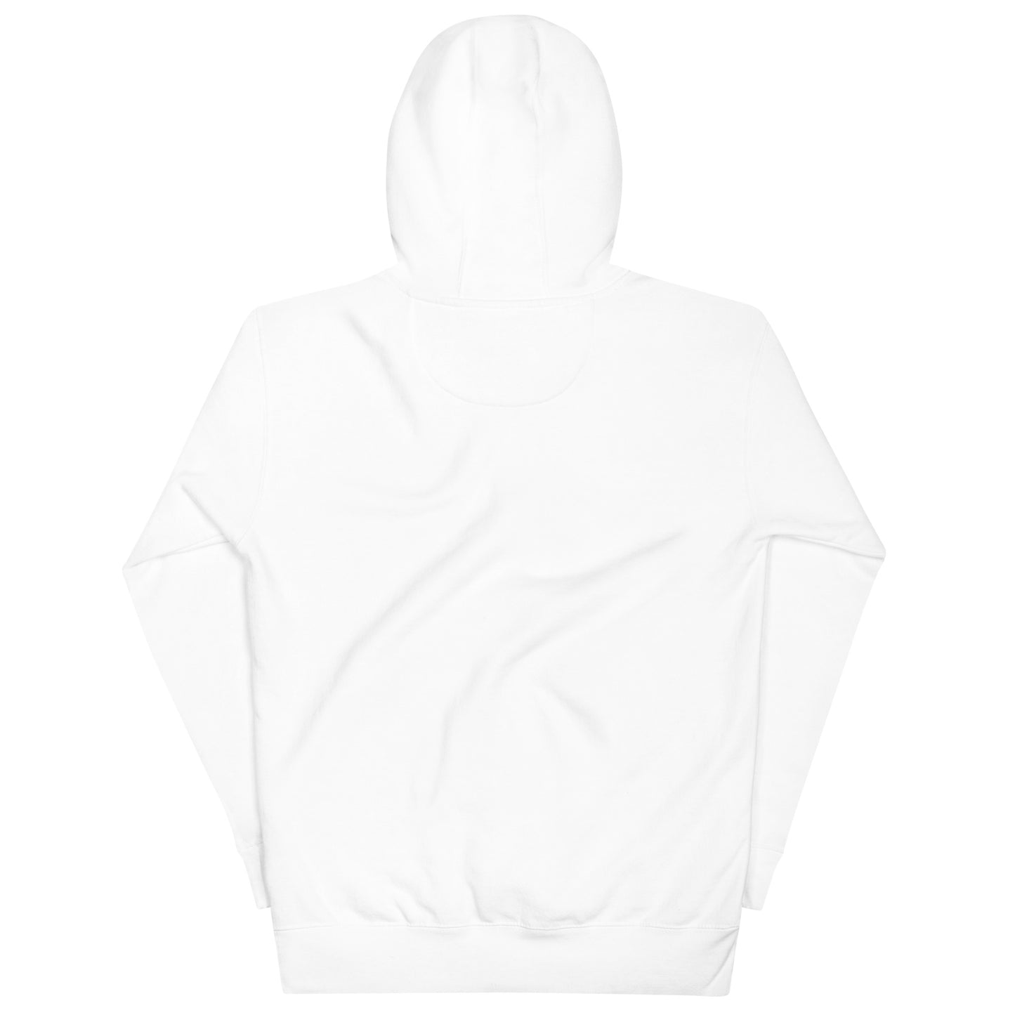 Classic Logo Big Embroidered Hoodie